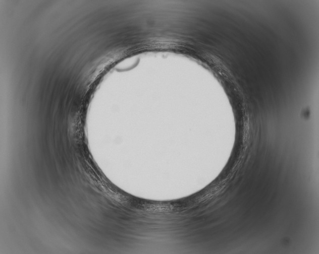 X0000115231210200912111022