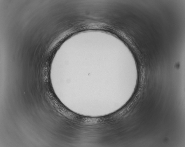 X0000115231211200912111022