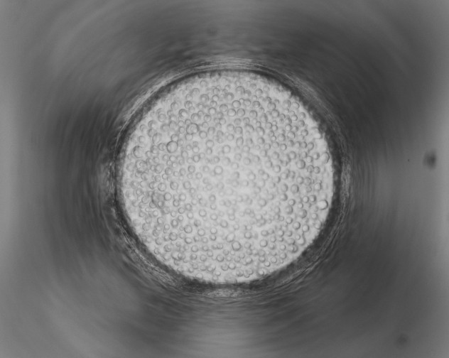 X0000115231212200912111022