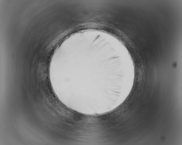 X0000115231213200912111022