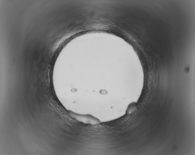 X0000115231214200912111022