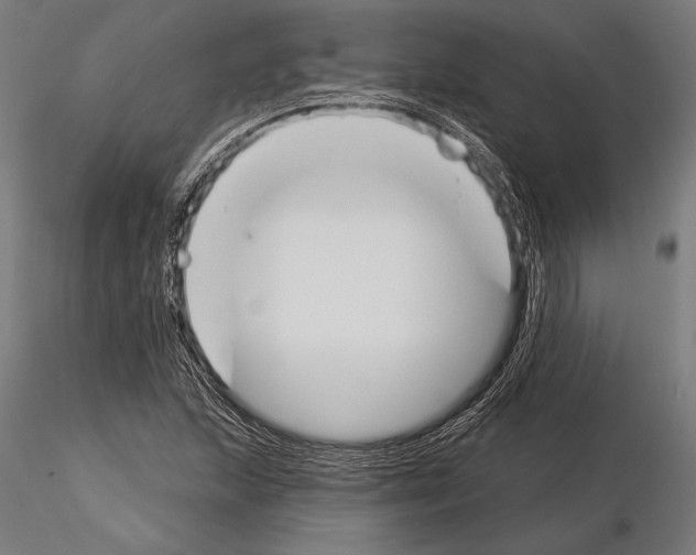 X0000115231215200912111022