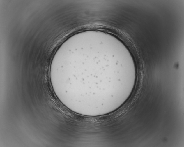 X0000115231217200912111022