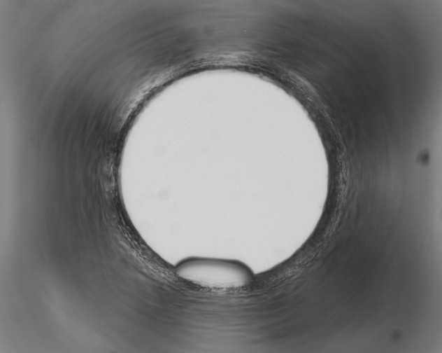 X0000115231218200912111022