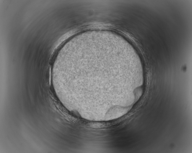 X0000115231219200912111022