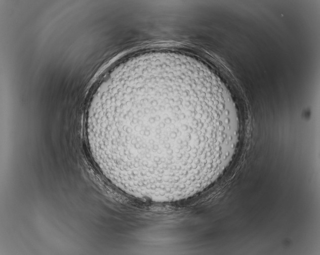 X0000115231220200912111022