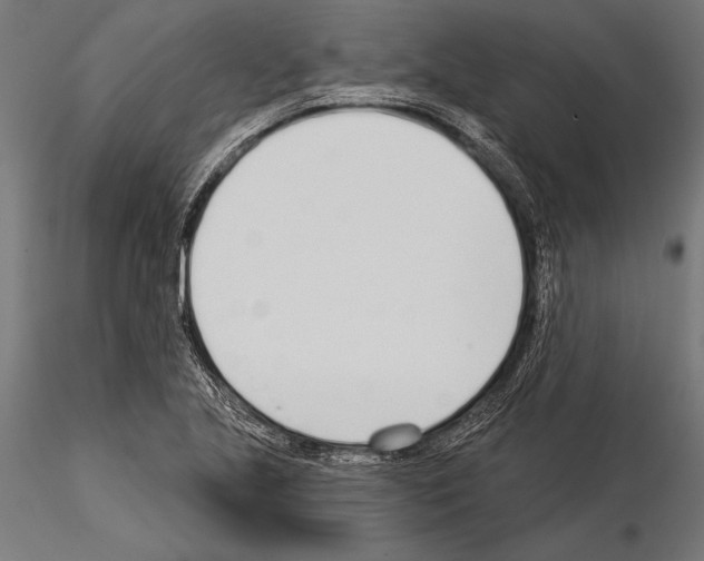 X0000115231221200912111022