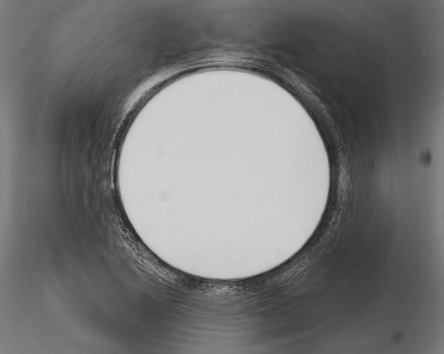 X0000115231222200912111022