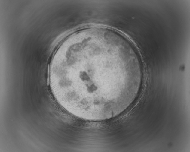 X0000115231223200912111022