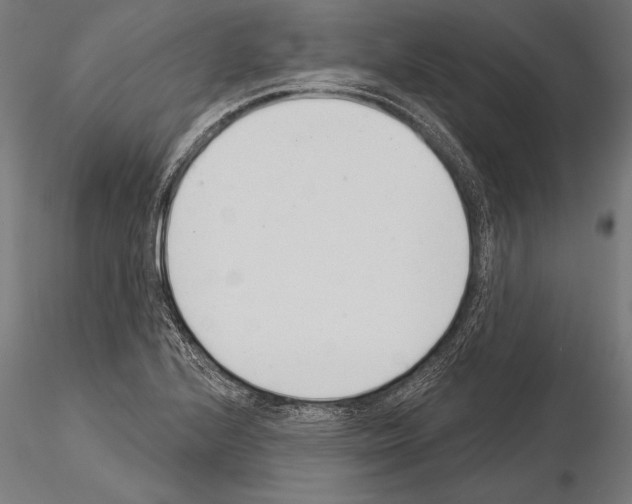 X0000115231224200912111022