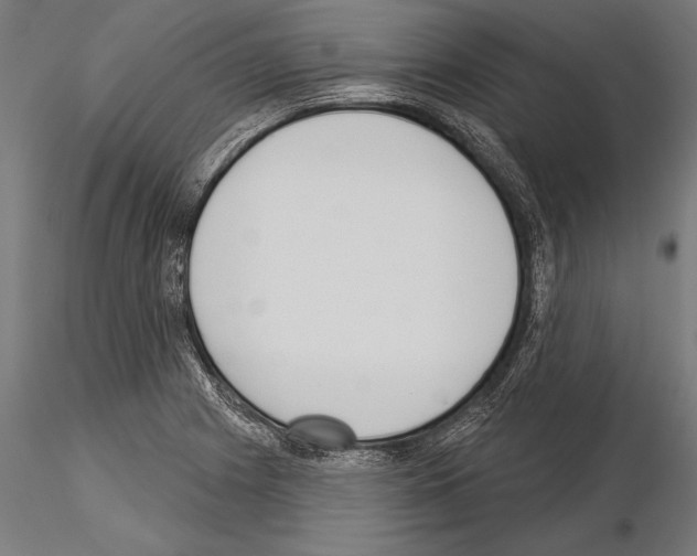 X0000115231225200912111022