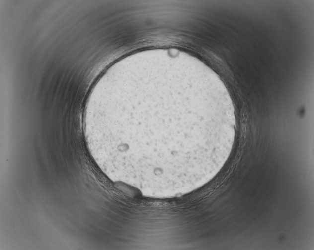 X0000115231226200912111022