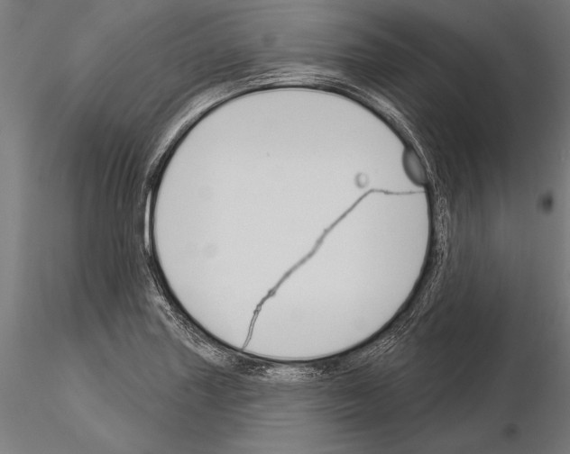 X0000115231227200912111022