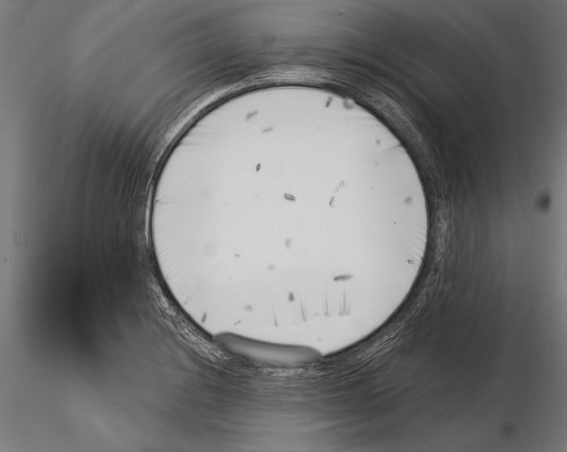 X0000115231228200912111022