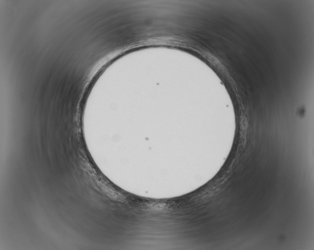 X0000115231230200912111022