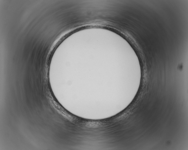 X0000115231232200912111022