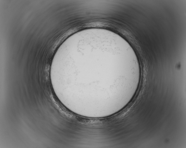 X0000115231233200912111022