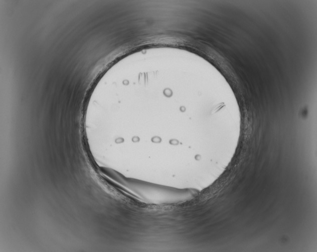 X0000115231237200912111022