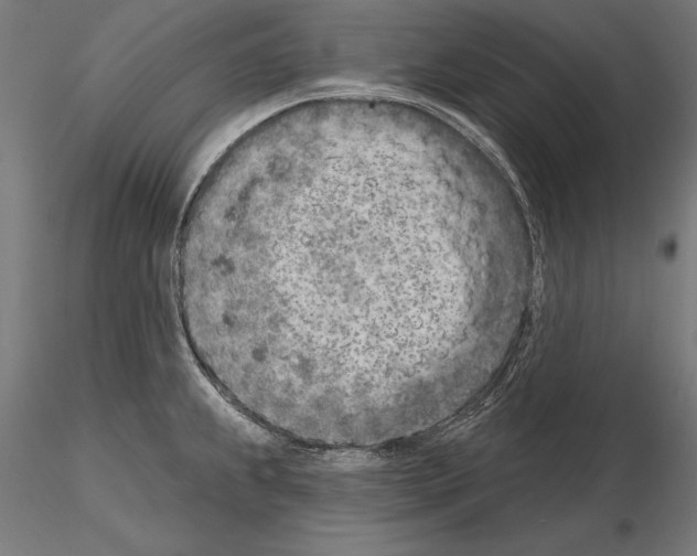 X0000115231239200912111022