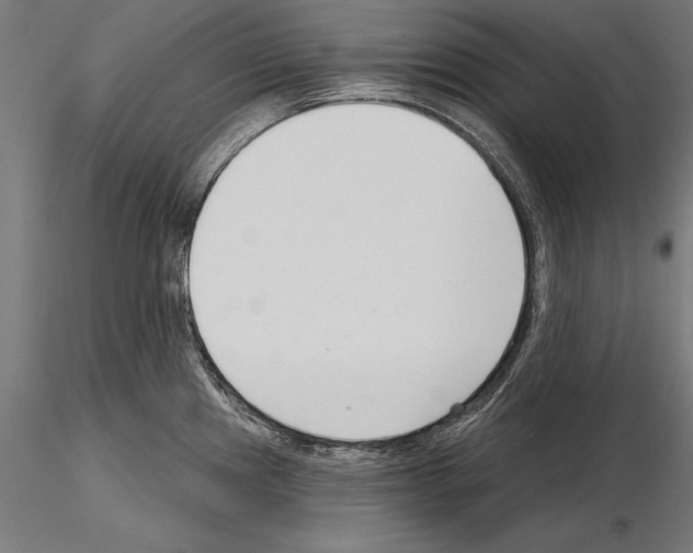 X0000115231241200912111022