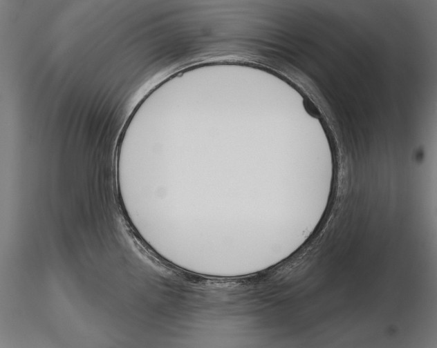 X0000115231242200912111022