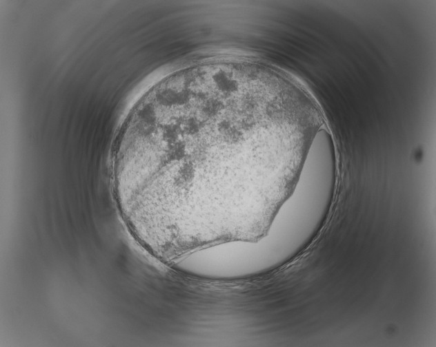 X0000115231243200912111022