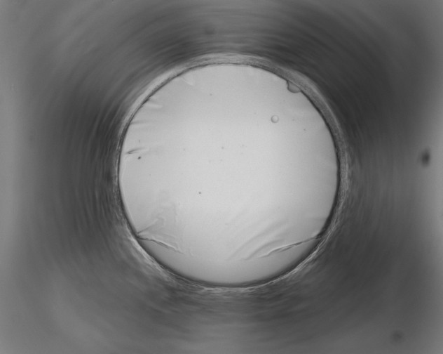 X0000115231244200912111022