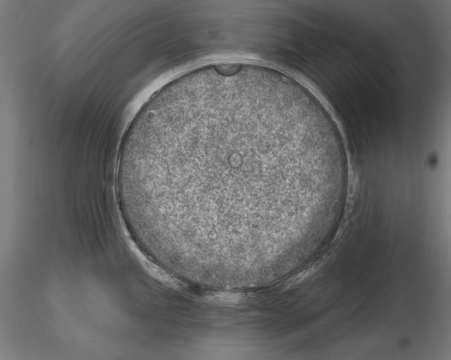 X0000115231245200912111022