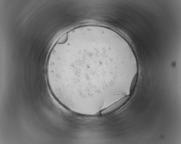 X0000115231247200912111022