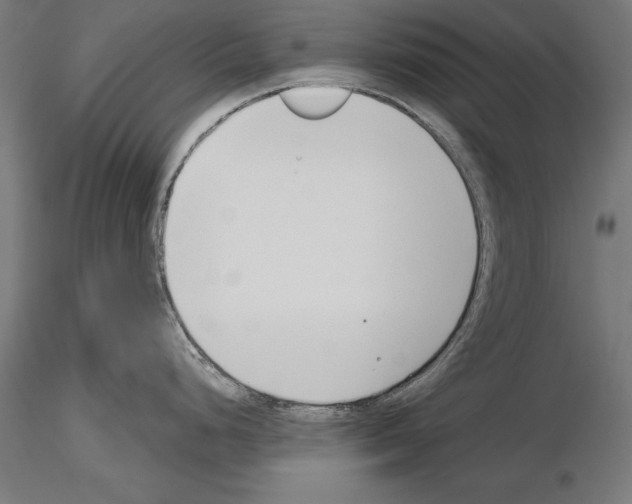 X0000115231248200912111023