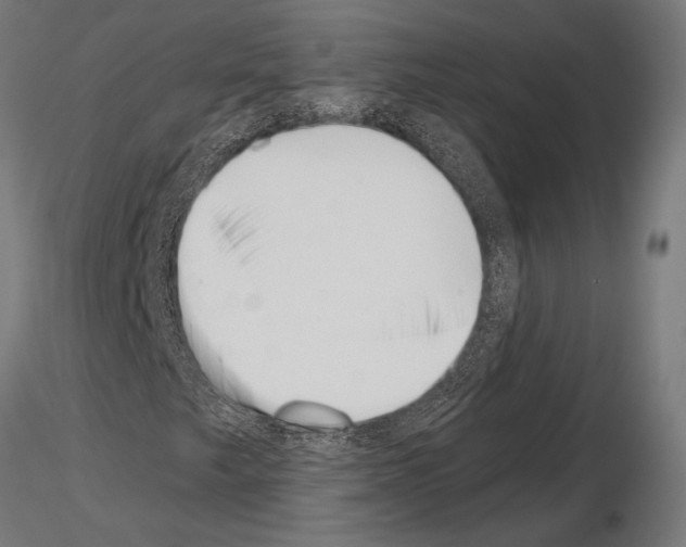 X0000115231249200912111022