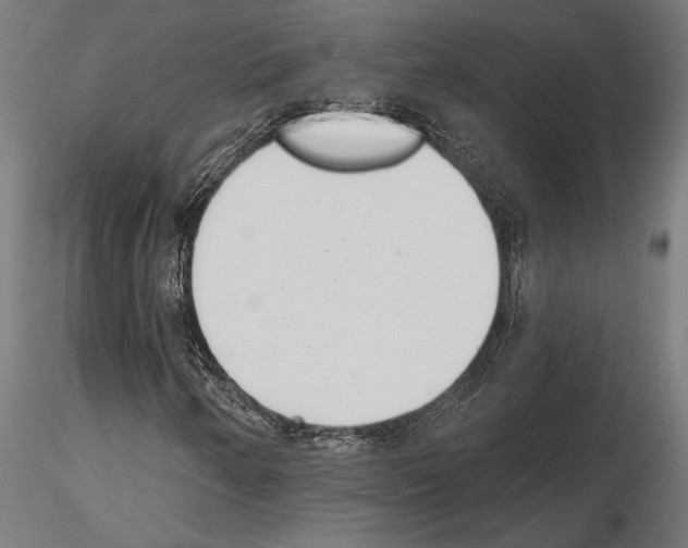 X0000115231250200912111022