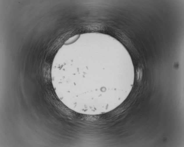 X0000115231251200912111022