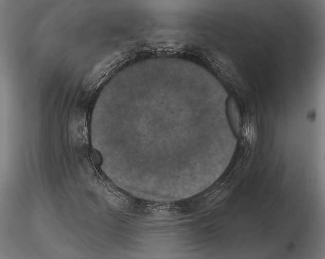 X0000115231252200912111022