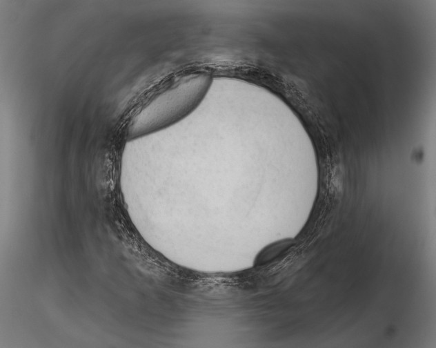 X0000115231253200912111022