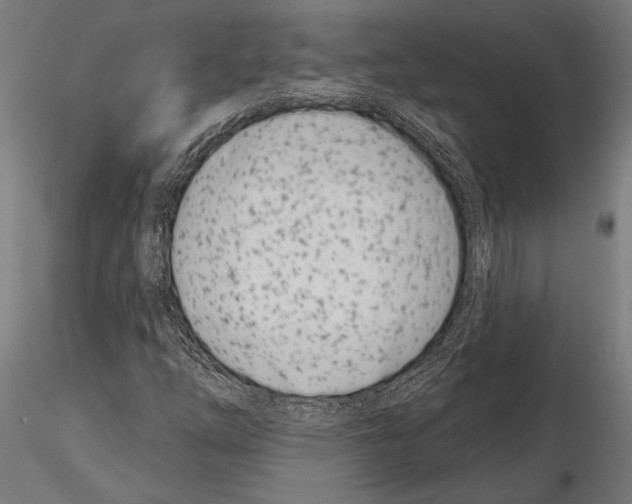 X0000115231254200912111022