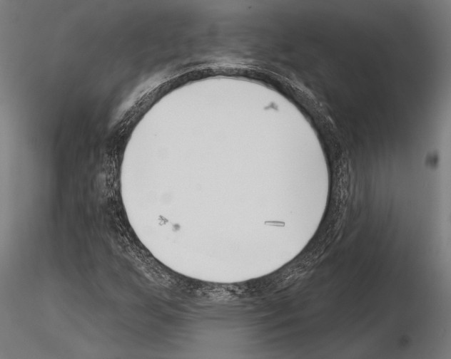 X0000115231255200912111022