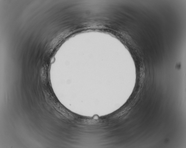 X0000115231257200912111022