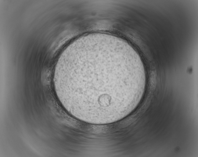 X0000115231258200912111022