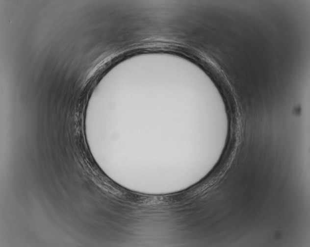 X0000115231259200912111022