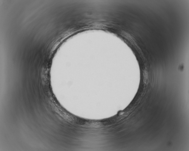 X0000115231260200912111022