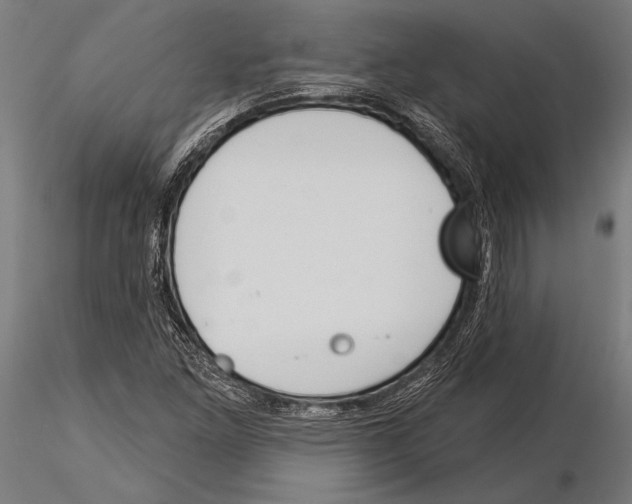 X0000115231261200912111022