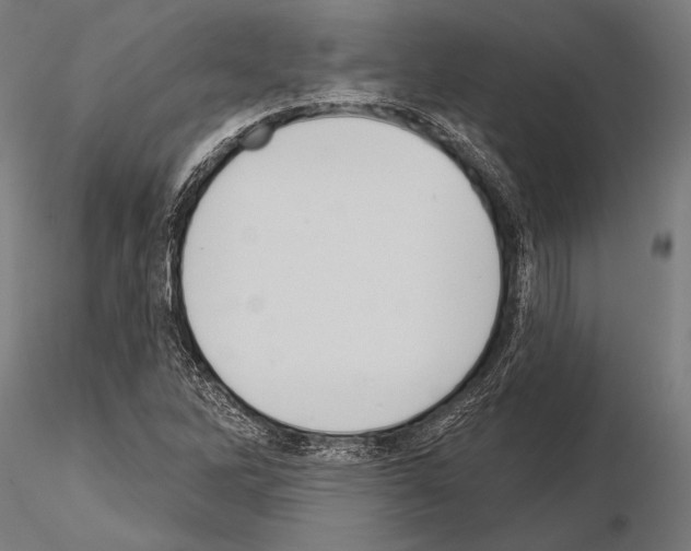 X0000115231262200912111021