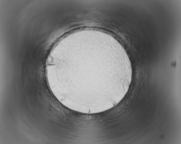 X0000115231263200912111021