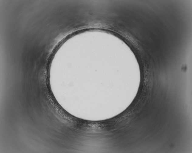 X0000115231264200912111021