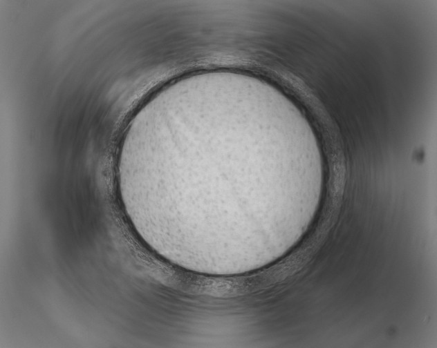 X0000115231266200912111021