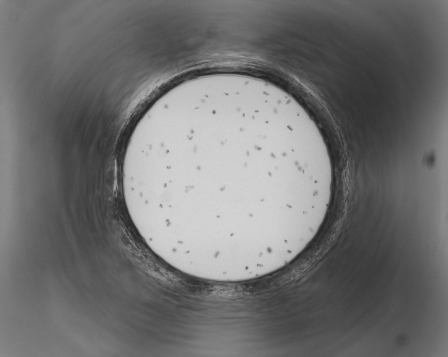 X0000115231267200912111021