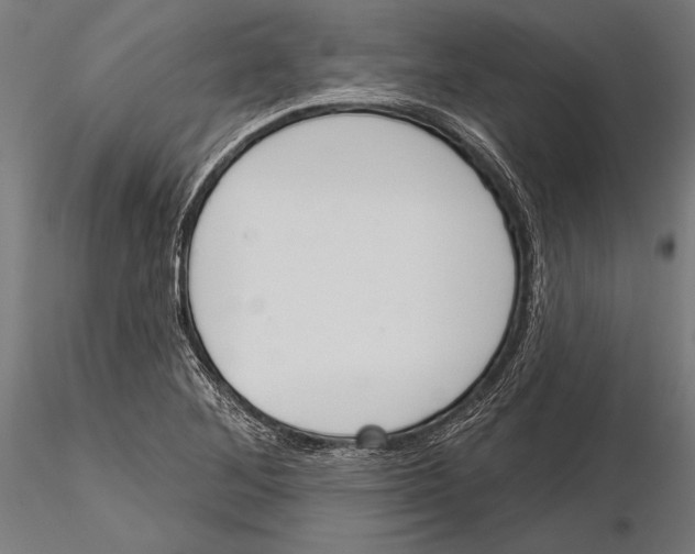 X0000115231268200912111021