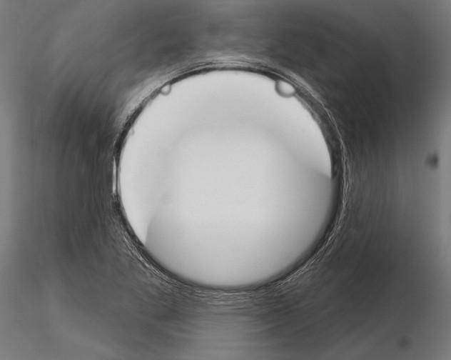 X0000115231269200912111021