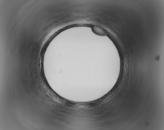 X0000115231270200912111021